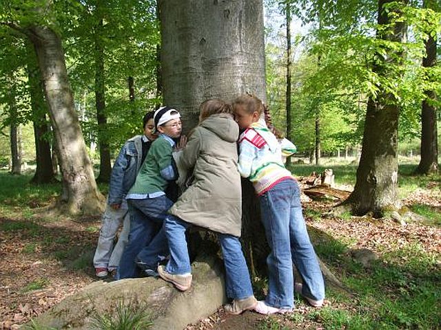 Foto Kinder an Baum